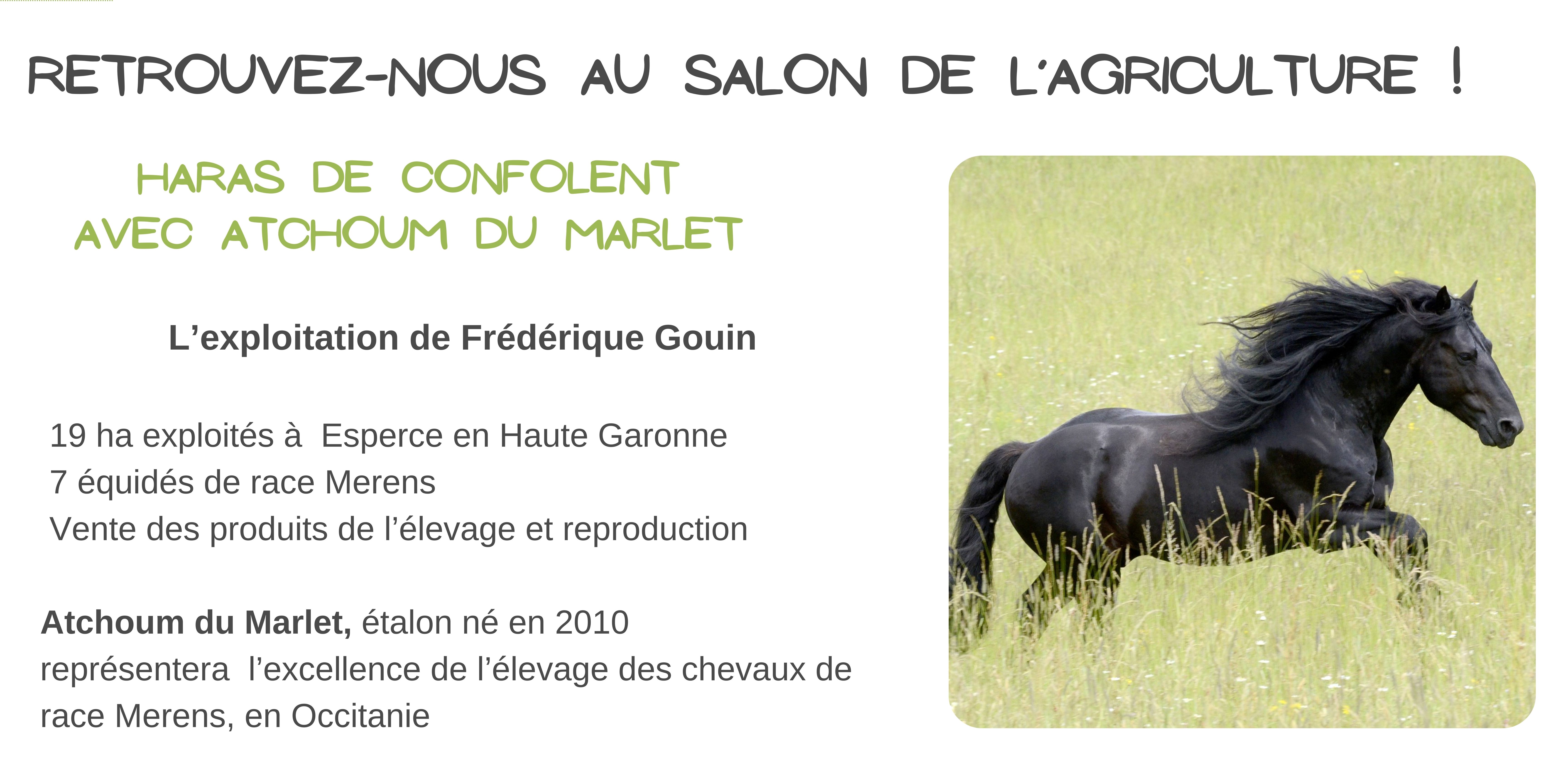 Haras de Confolent